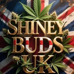 ShineyBuds